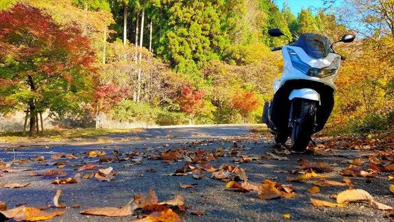 季節移り変わりや土地の匂いを直に感じられる